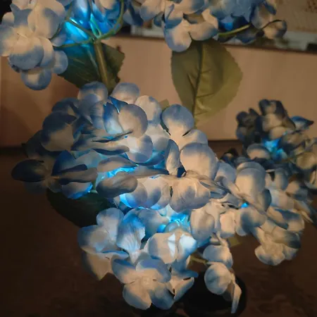 Aquamarine *